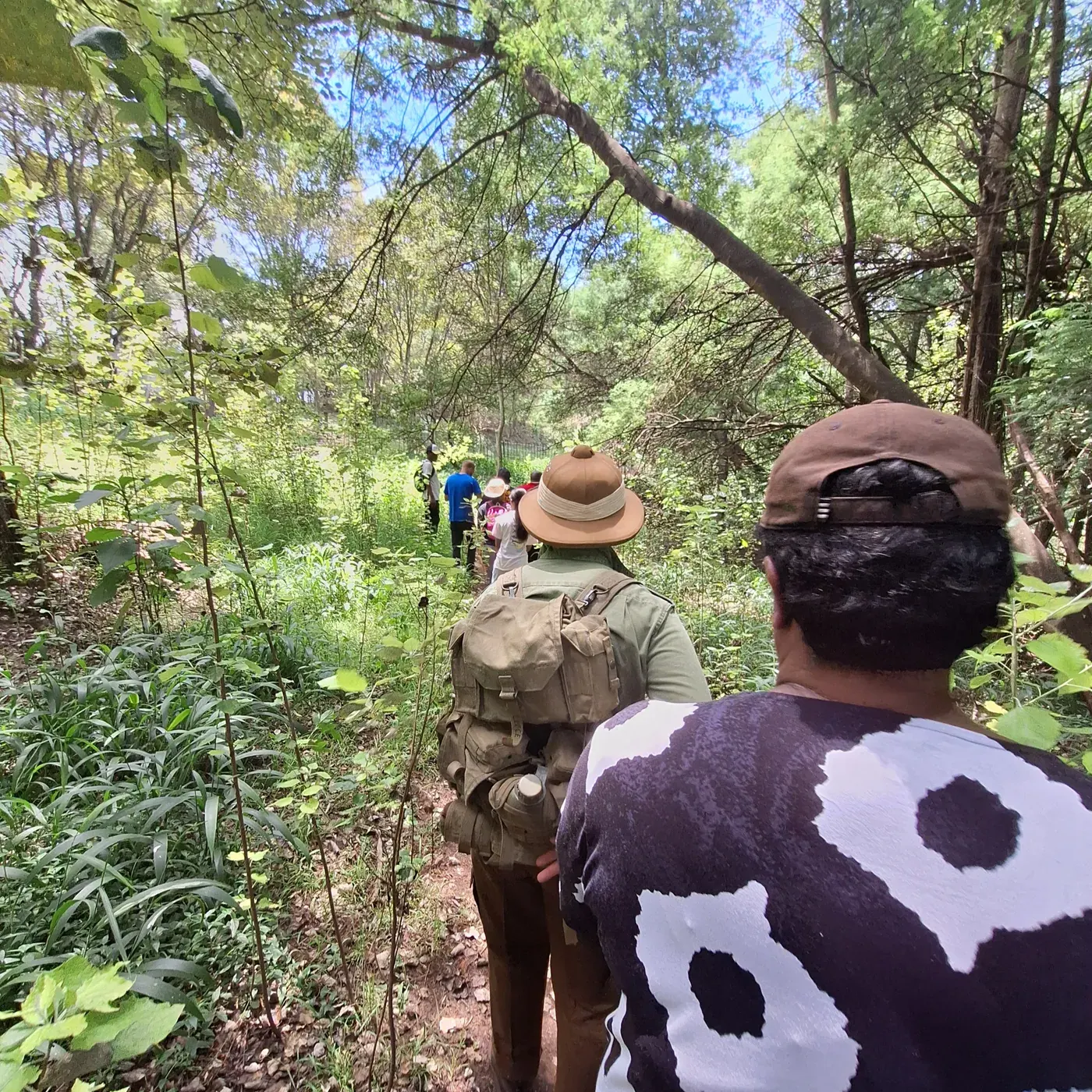 Accessible Adventure South Africa. Group being led in forest path.
