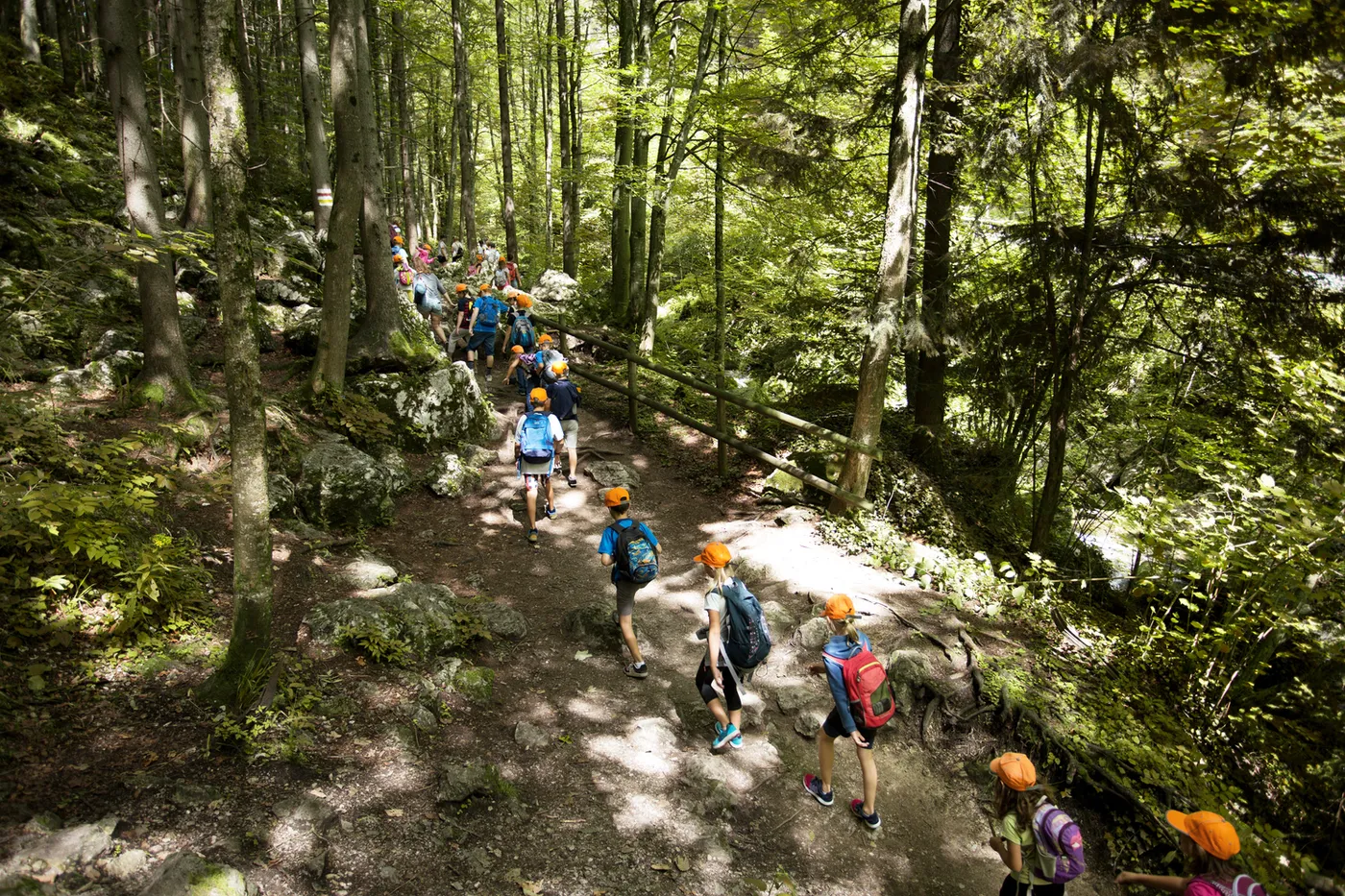 students hiking with teacher nature