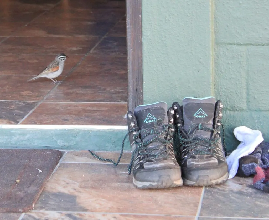 Discarded hiking boots and socks outside of a building.